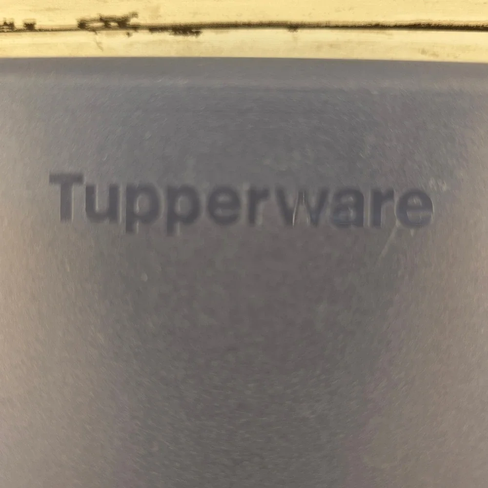 Tupperware Sandwich Keeper Navy Blue Hinged Lid Food Storage Container 8203A-1